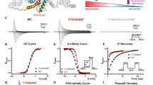 source_image_1-1 Cryo-EM Reveals How Insect-Selective Peptide Toxins Disable Sodium Channels — and How AI Can Improve Them source image 1