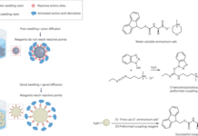 A Water-Based Route Could Make Peptide Synthesis Greener A Water-Based Route Could Make Peptide Synthesis Greener source image 1