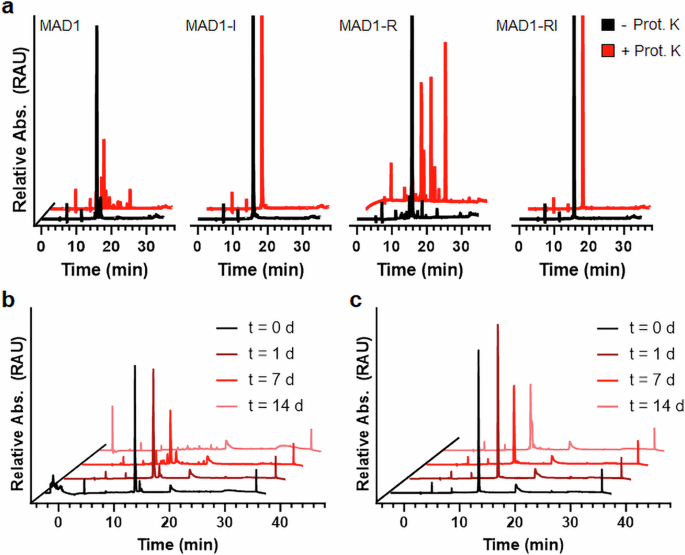 Retro-inversion Boosts Antimycobacterial Peptides in a Surprising Way source image 1