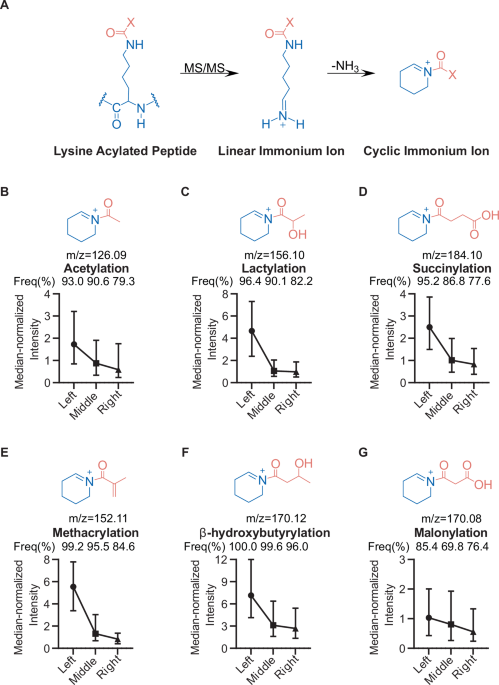 Stepped Collision Energy Reduces Bias in Protein Acylation MS Identification source image 1