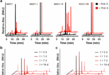 Retro-inversion boosts antimycobacterial host-defense peptides Retro-inversion boosts antimycobacterial host-defense peptides source image 1