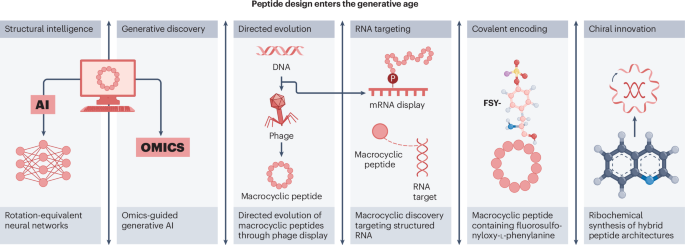 How peptide chemistry is moving beyond simple analogue libraries source image 1