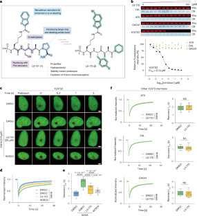 Source article image 2