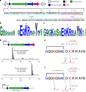 Source article image 2