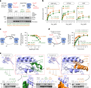 Source article image 3