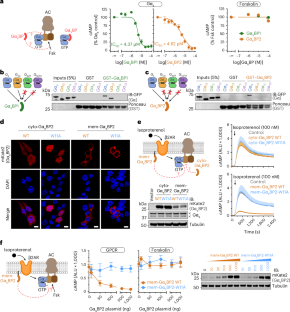 Source article image 4