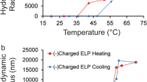 Cyclic Voltammetry Offers a New Window into Short Elastin-Like Peptide Transitions source image 1