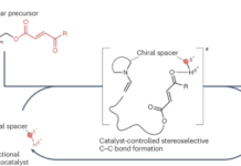 A Peptide Catalyst That Steers Macrocyclization with Remarkable Selectivity A Peptide Catalyst That Steers Macrocyclization with Remarkable Selectivity source image 1
