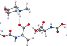 Water Takes Center Stage in Solid-Phase Peptide Synthesis Water Takes Center Stage in Solid-Phase Peptide Synthesis source image 1