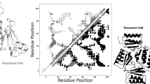 Just Six Asteroid Amino Acids Can Recreate Many Core Protein Folds, Study Finds source image 1